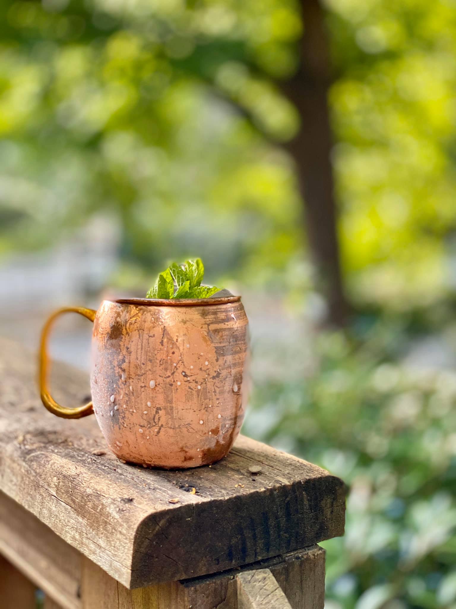 The Ticonderoga Cup